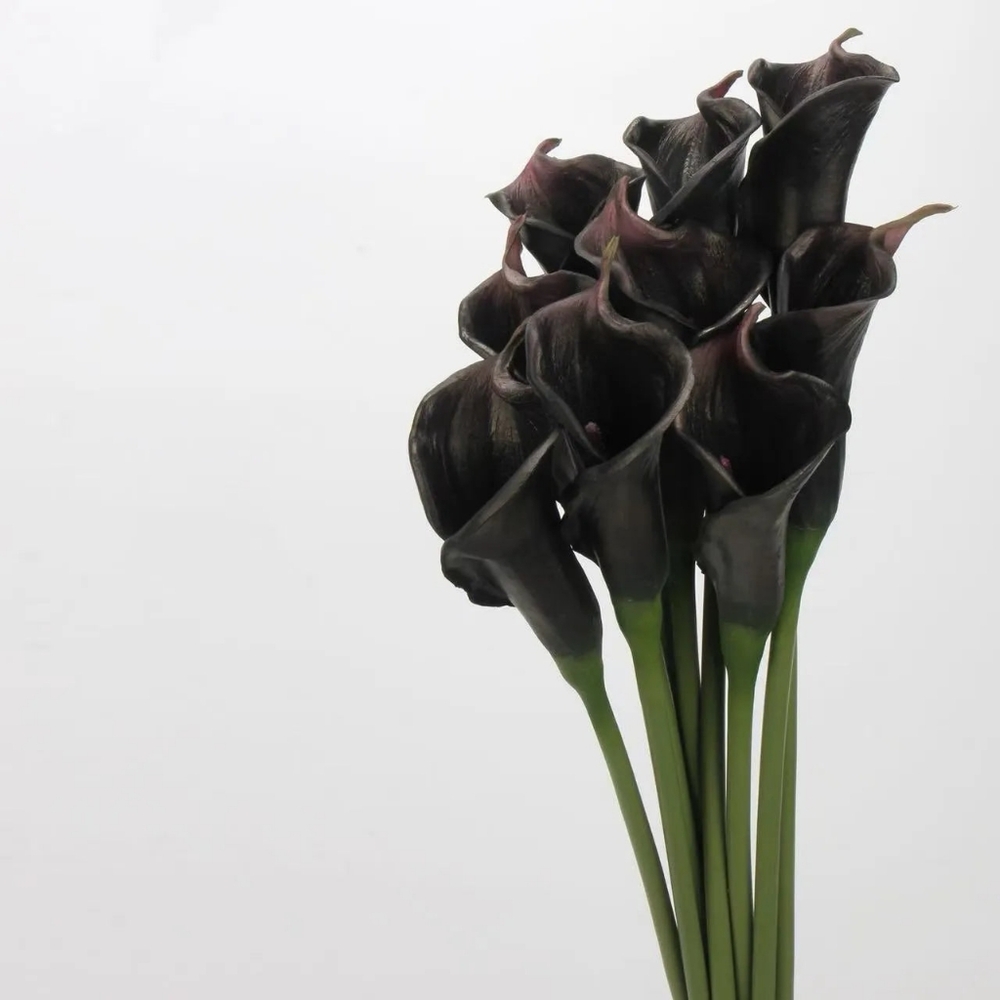 Bundle Of 3 Black Real Touch Faux Calla Lily Stem - 25"